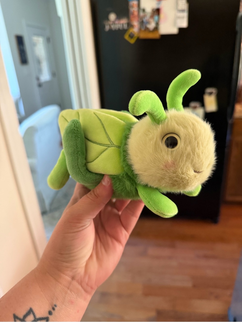 Douglas Kady 8" Grasshopper Plush Stuffed Animal Toy #1622